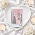 WINTER savings challenge & luxe PP cash envelope